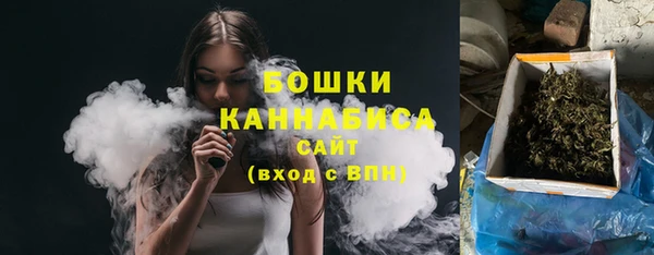 индика Бугульма