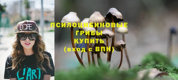 стаф Белокуриха