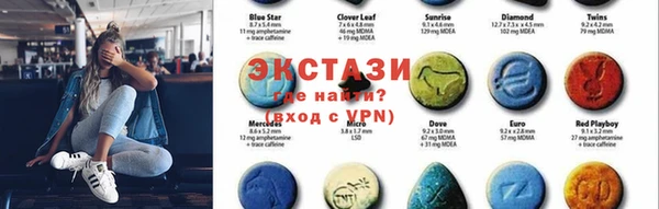 индика Бугульма
