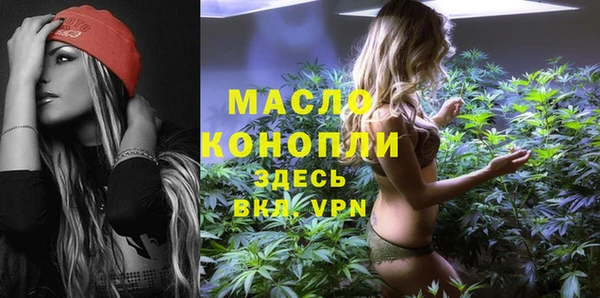 индика Бугульма