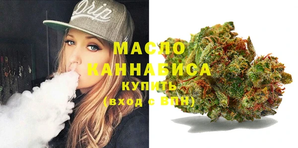 индика Бугульма