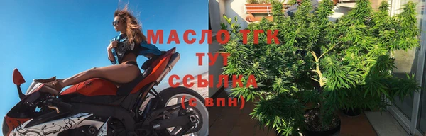 индика Бугульма