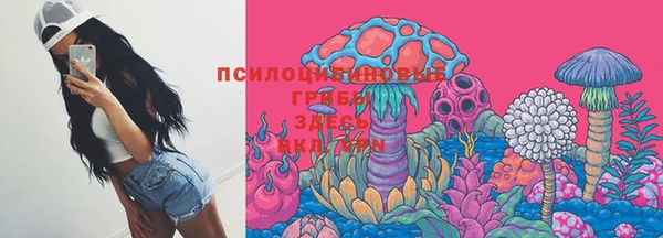 индика Бугульма