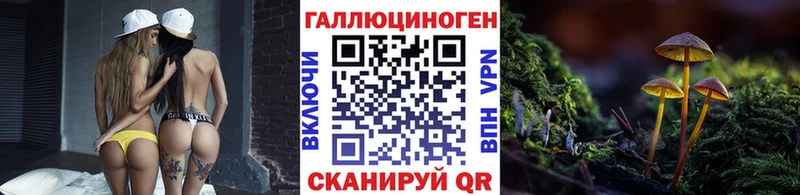 Галлюциногенные грибы Psilocybine cubensis  наркошоп  Сланцы 