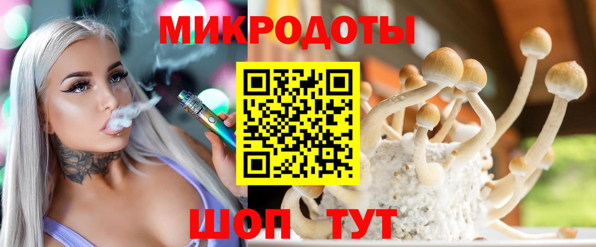 Сланцы  где продают наркотики  Псилоцибиновые грибы MAGIC MUSHROOMS  Вход с VPN  Галлюциногенные грибы Psilocybine cubensis 